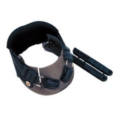 DALLMER CLOG