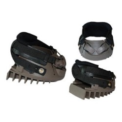 DALLMER REHE CLOG LAMINITIS