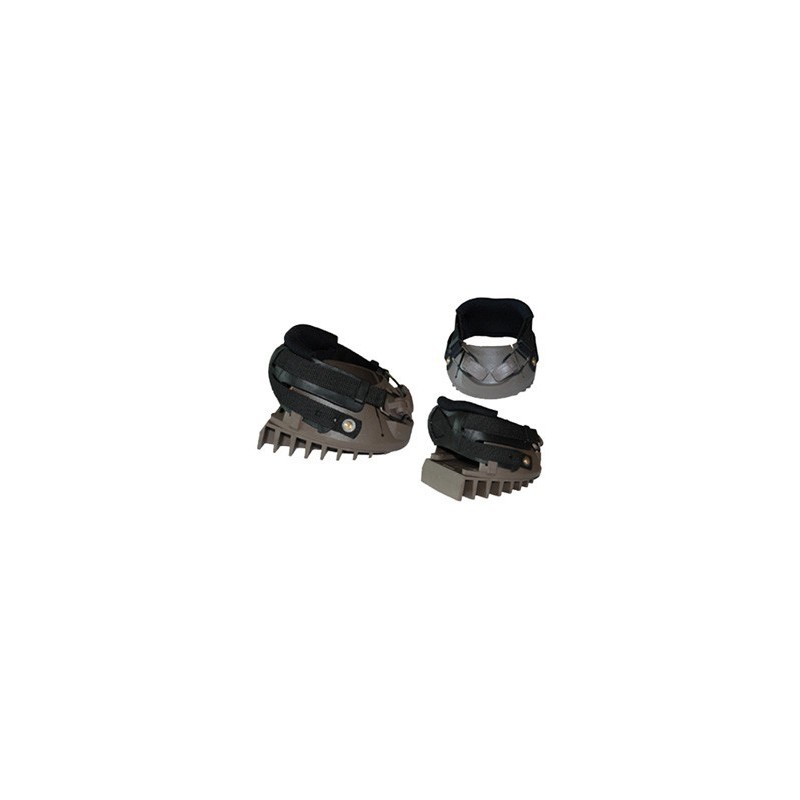 DALLMER REHE CLOG LAMINITIS