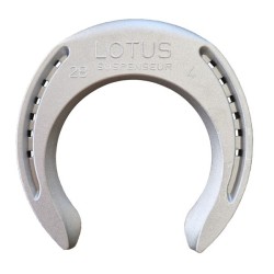 DELTACAST LOTUS