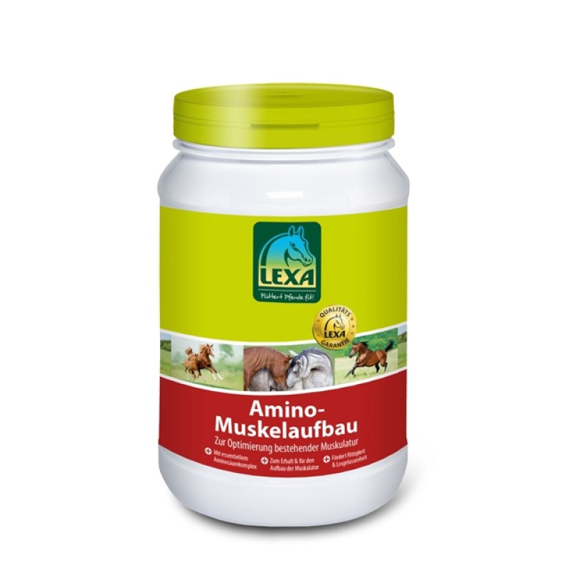AMINO PLUS LEXA