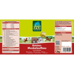 AMINO PLUS LEXA