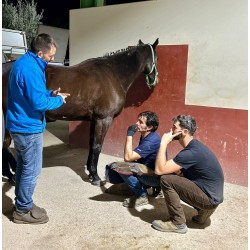 CLINIC ARTURO MARTI